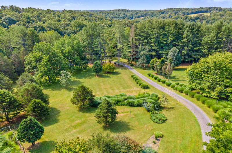 Woodward view